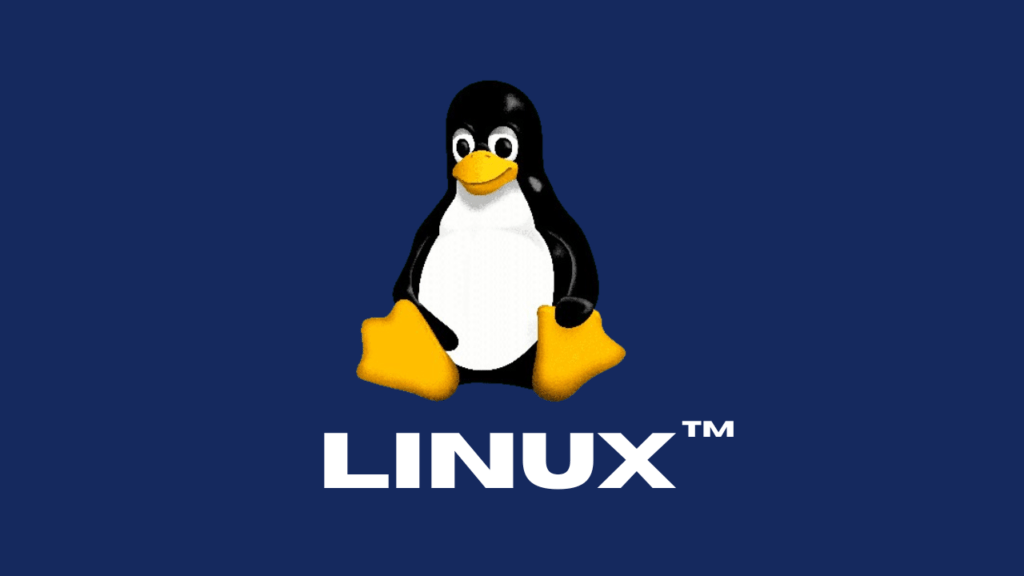 Avoid These 7 Common Mistakes After Installing Linux